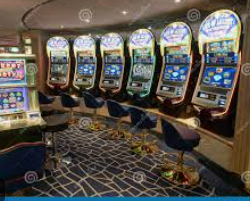 46倍狮子森林舞会2024最新版