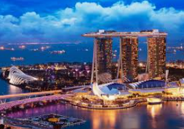 46倍狮子森林舞会最新版